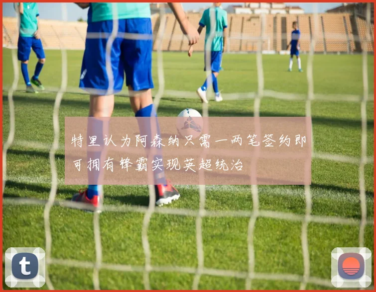 特里认为阿森纳只需一两笔签约即可拥有锋霸实现英超统治