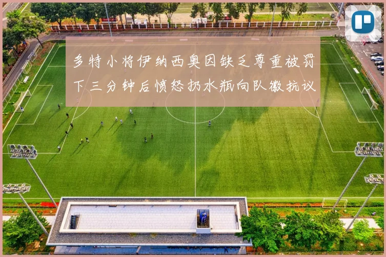 多特小将伊纳西奥因缺乏尊重被罚下三分钟后愤怒扔水瓶向队徽抗议
