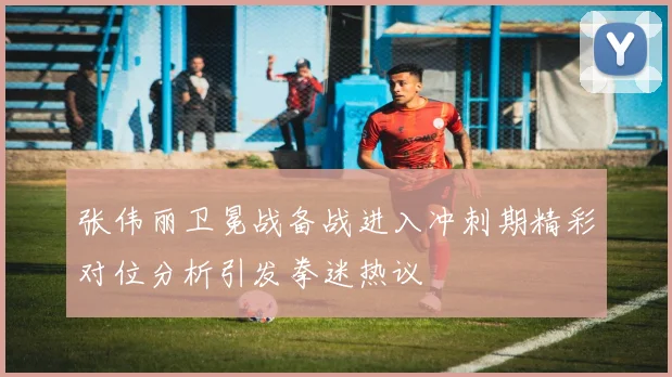 张伟丽卫冕战备战进入冲刺期精彩对位分析引发拳迷热议